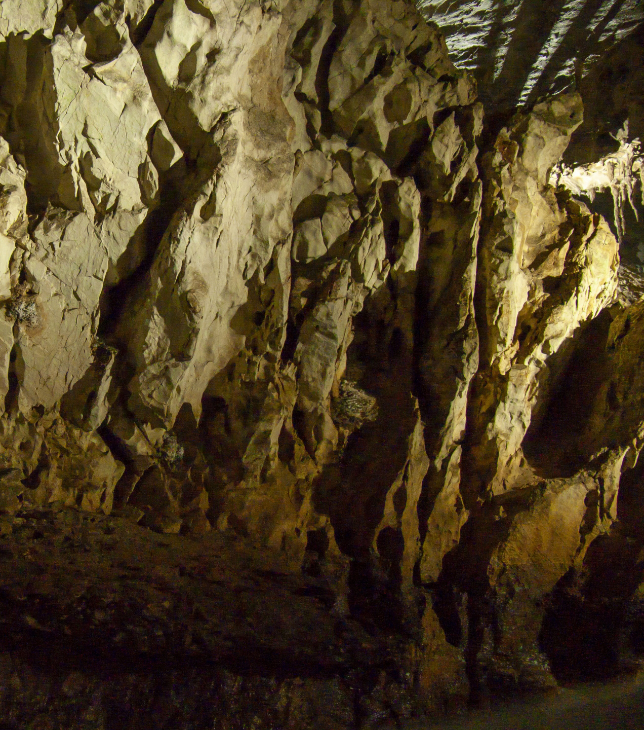 【クアンビン】世界の美しい仮想ツアー10選、ソンドン洞窟が選出