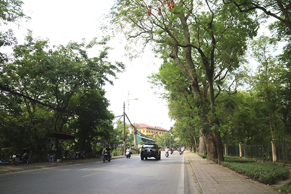 【ハノイ・気になる街角あの通りてくてく近辺調査隊】<br>歴史を感じられる道路<br>ホアンホアタム<br>（Hoang Hoa Tham）通り