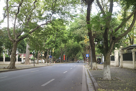 【ハノイ・気になる街角あの通りてくてく近辺調査隊】<br>ロマンティックな雰囲気が漂う<br>ファンディンフン<br>（Phan Dinh Phung）通り