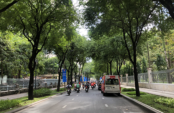 【ホーチミン市・気になる街角あの通りてくてく近辺調査隊】<br>草木の緑が美しい<br>グエンユー（Nguyen Du）通り
