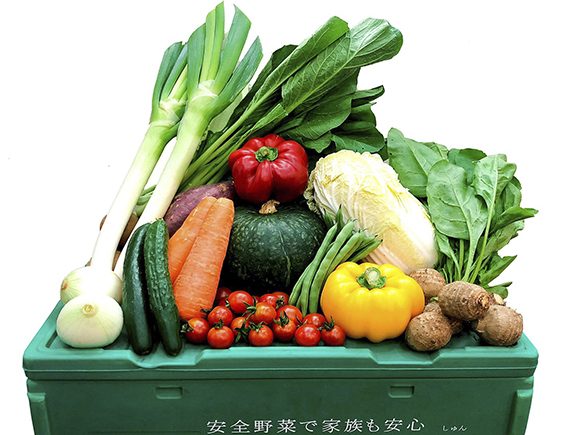 【ホーチミン市】ハノイで人気の新鮮野菜の宅配／ホーチミン市でサービス開始