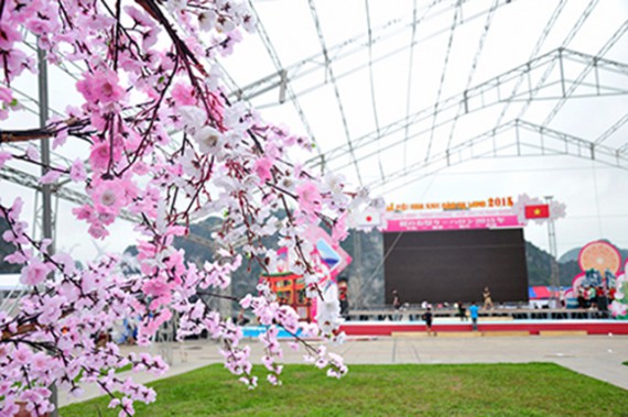 【ハノイ】3/18～3/23ハロンの「桜／祭り」に行ってみよう