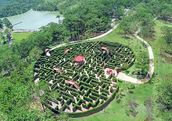 【ダラット】 「愛の迷宮」が 国内最大の緑の迷路に認定