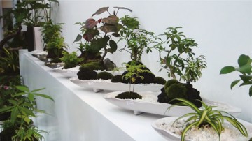 移転した「デコファーム」が／世界の植物展示会を実施