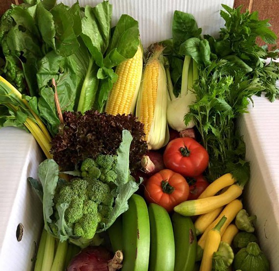 【ホーチミン市】週替わり野菜ボックスをお届け／「ベジーズ」が宅配サービス開始