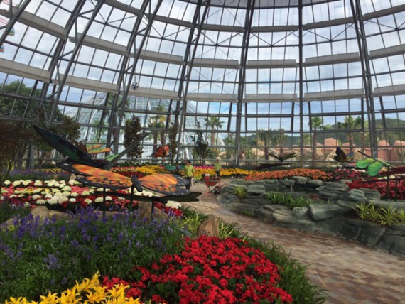 【ニャチャン】国内最大の植物園が／「ヴィンパールランド」に登場