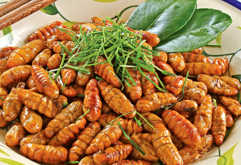 ベトナム家庭料理の定番 栄養満点「カイコのさなぎ」