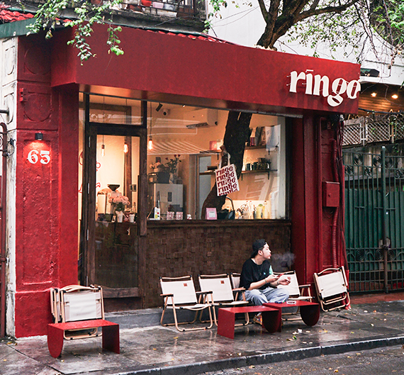店内から古木の生えているカフェ「リンゴリンゴ／Ringo Lingo」