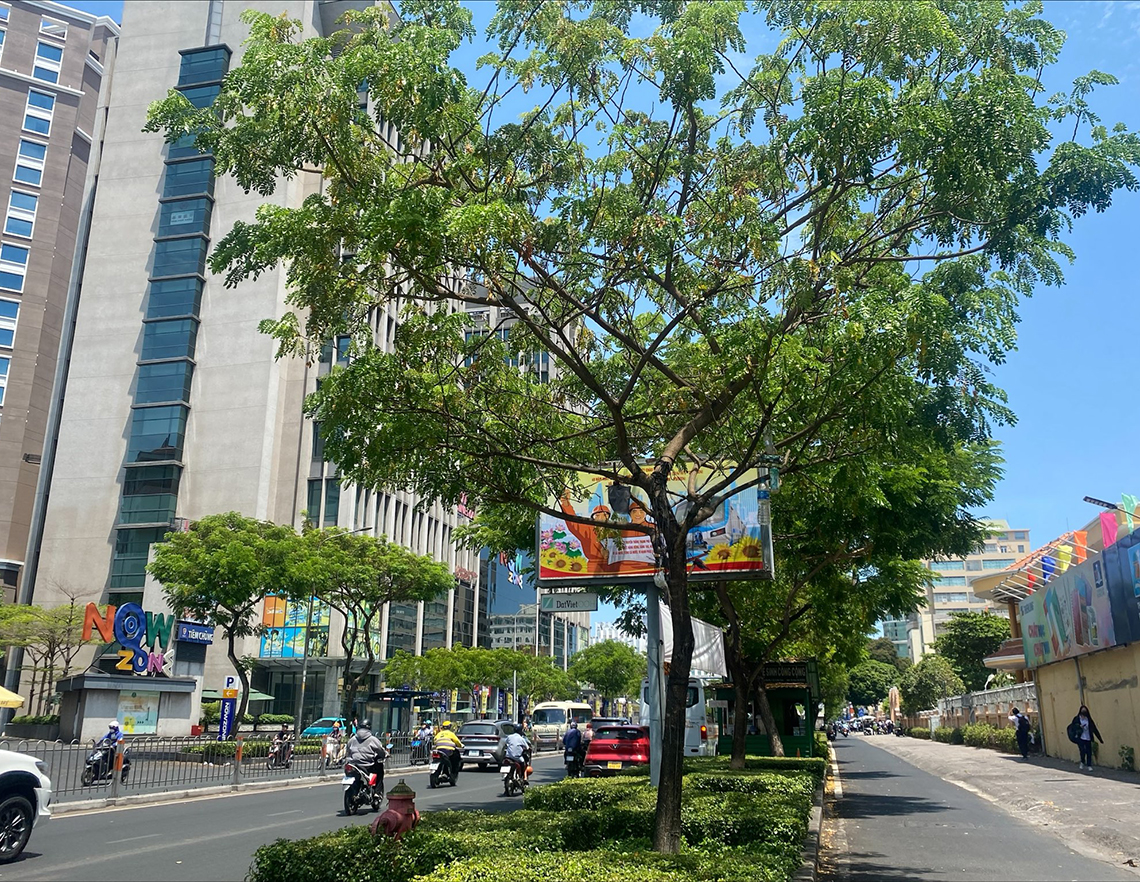 １区と５区の境目にあたる大通り「グエンヴァンクー （Nguyen Van Cu）通り」