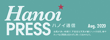 かわいらしい植物を置いて緑に溢れた生活を！