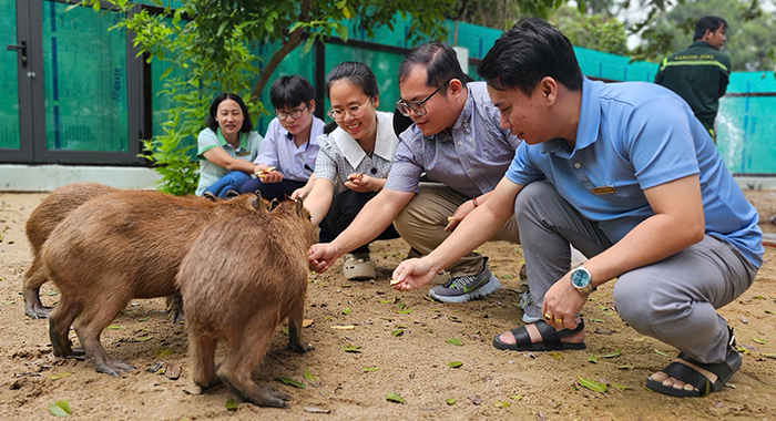 「サイゴン動物園」に新登場！ カピバラとのふれあいスペース