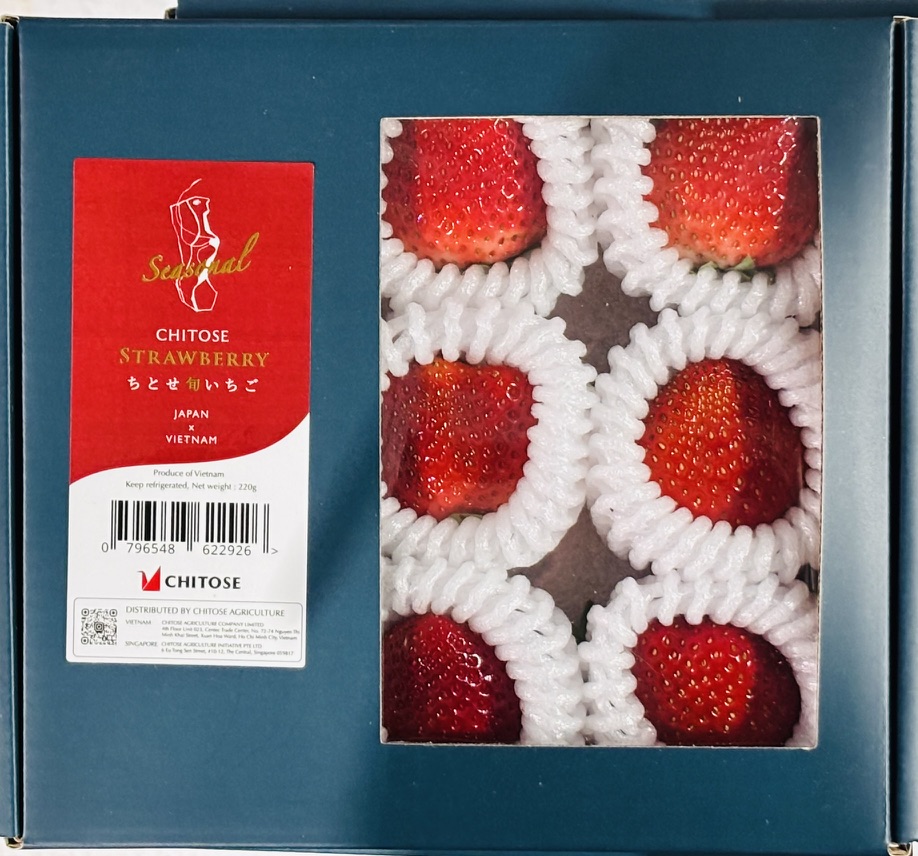 日本品質の「ちとせいちご」 採れたてをハノイで販売開始